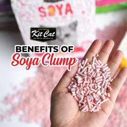 Soya Clump - Strawberry 7L