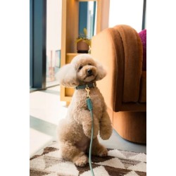 FuzzYard Life Atelier – Obroża dla psa S - Mirtowa Zieleń