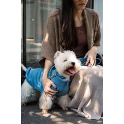 FuzzYard Life Atelier – Obroża dla psa L - Francuski Błękit