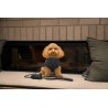 FuzzYard Life Atelier – Dozownik na worki na odchody Szary Łupek